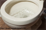 Các nguyên nhân gây tắc cống bồn cầu thường gặp nhất