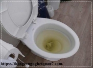 Hướng dẫn bạn cách xử lý bồn cầu xả nước bị trào ngược hiệu quả