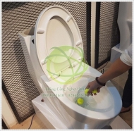 Nguyên nhân và cách thông bồn cầu nghẹt hiệu quả nhất hiện nay