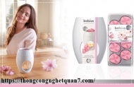Các cách khử mùi hôi nhà vệ sinh thật đơn giản trong tích tắc