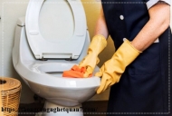 Cách khử mùi hôi nhà vệ sinh chung cư hiệu quả tuyệt vời