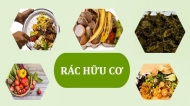 Mách bạn một số biện pháp xử lý rác thải hữu cơ