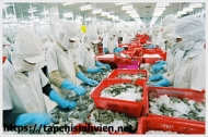 Tư vấn phương pháp xử lý nước thải thủy sản
