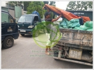 Chia sẻ cách xử lý hầm cầu bị đầy 