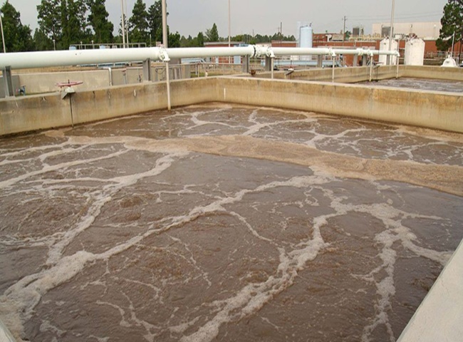 C&ocirc;ng ty vận chuyển b&ugrave;n vi sinh quận 7 chất lượng nhất