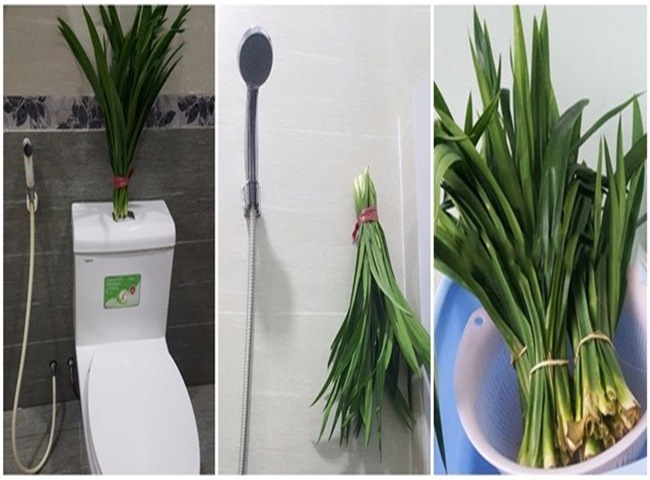 Sử dụng l&aacute; dứa để khử m&ugrave;i h&ocirc;i nh&agrave; vệ sinh