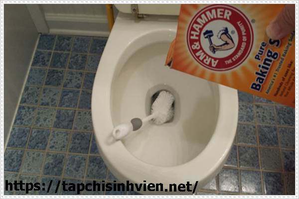 Những lưu ý của cách thông bồn cầu bằng bột thông cống