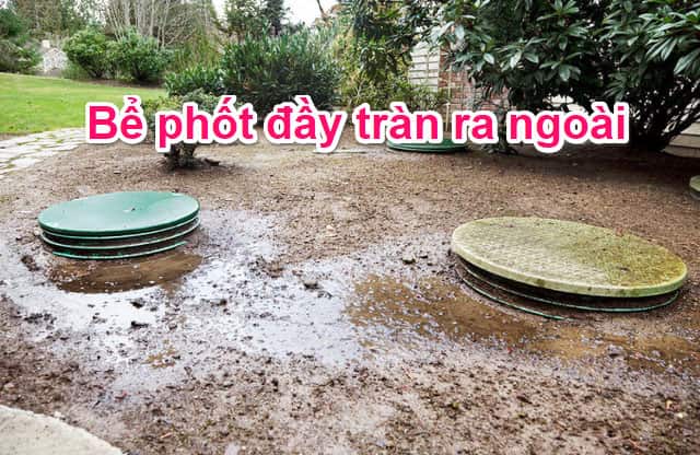 5 c&aacute;ch khắc phục hầm cầu đầy nước