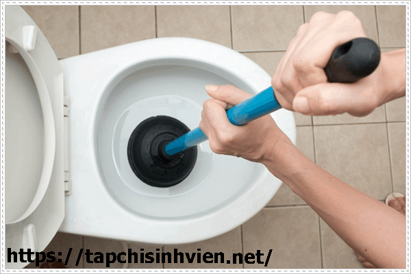 c&aacute;ch th&ocirc;ng bồn cầu bằng pittong hiệu quả