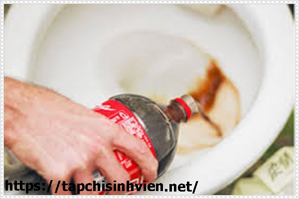 Chú ý cách thông bồn cầu bệt bị tắt