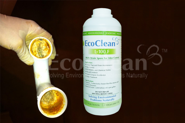 tắc nghẽn đường cống do dầu mỡ g&acirc;y n&ecirc;n