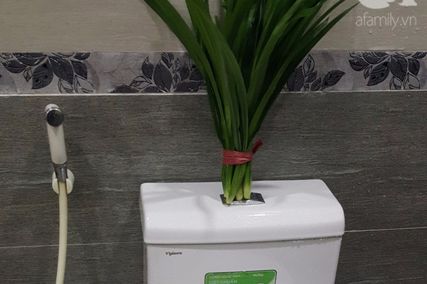 Khử m&ugrave;i toilet bằng tr&aacute;i thơm hay