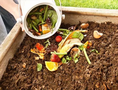 biện ph&aacute;p xử l&yacute; r&aacute;c thải hữu cơ hay nhất