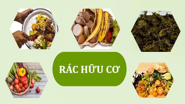 biện ph&aacute;p xử l&yacute; r&aacute;c thải hữu cơ