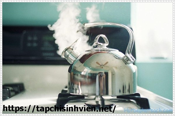 hướng dẫn c&aacute;ch th&ocirc;ng bồn cầu bị tắc bằng nước n&oacute;ng