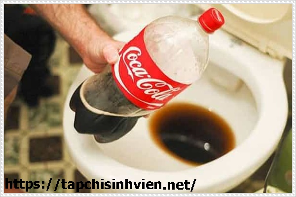 c&aacute;ch th&ocirc;ng cống bằng coca