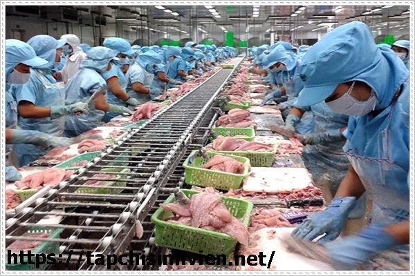 Tư vấn xử l&yacute; nước thải thủy sản