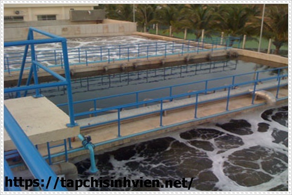 C&ocirc;ng nghệ xử l&yacute; nước thải thủy sản