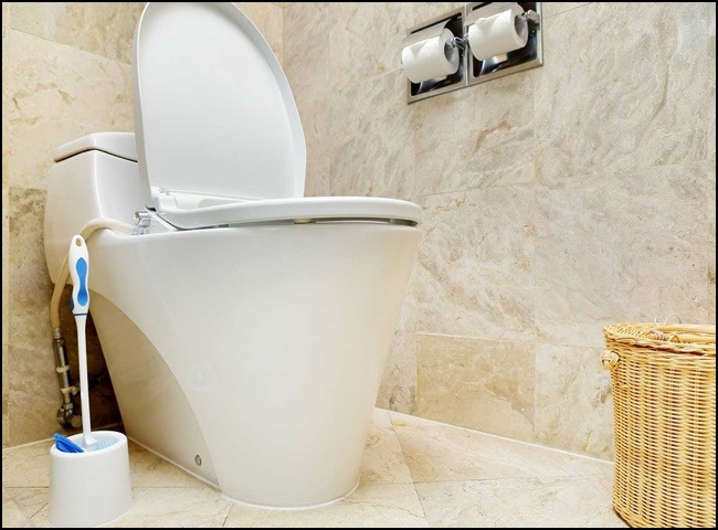 Men vi sinh th&ocirc;ng bồn cầu để giữ g&igrave;n vệ sinh sạch sẽ